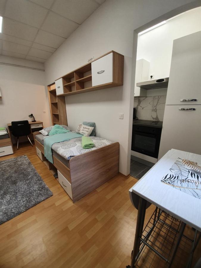 Maribor City Center Minidorm Apartment Екстериор снимка